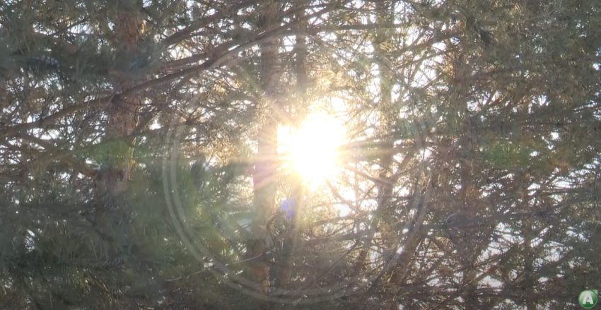 Қостанай облысында 21-22 қаңтар түндерінде алғашқы аязды күндер тіркелді